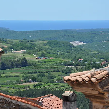 Svalina (adults Only)